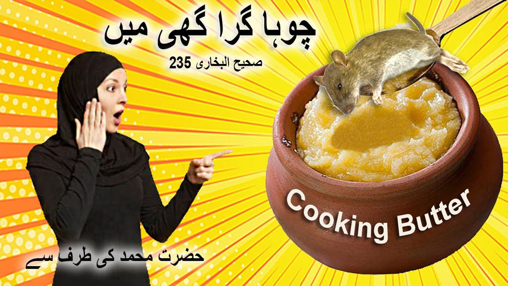 A Mouse fell in Ghee by Prophet Muhammad/ چوہا گرا گھی میں/sahih bukhari 235